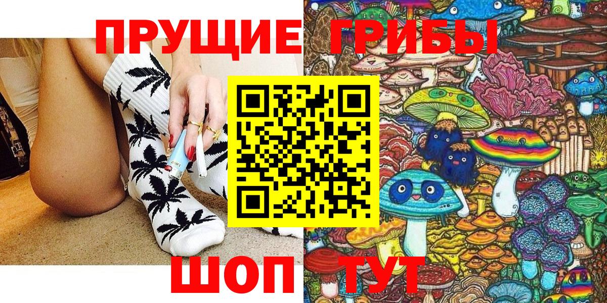 Псилоцибиновые грибы Cubensis Михайловск