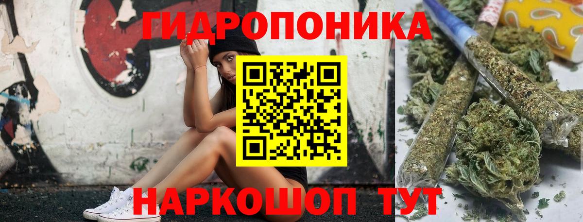 Канабис ГИДРОПОН  Марихуана сатива  Михайловск  Шишки марихуана OG Kush  Вход с VPN  Марихуана MAZAR 